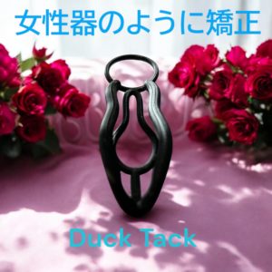 DuckTack　AタイプVr5